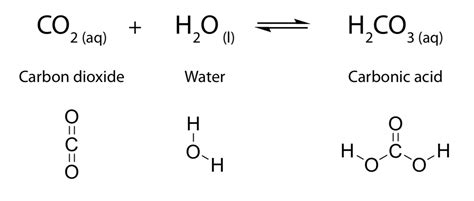 carbonic acid formation equation